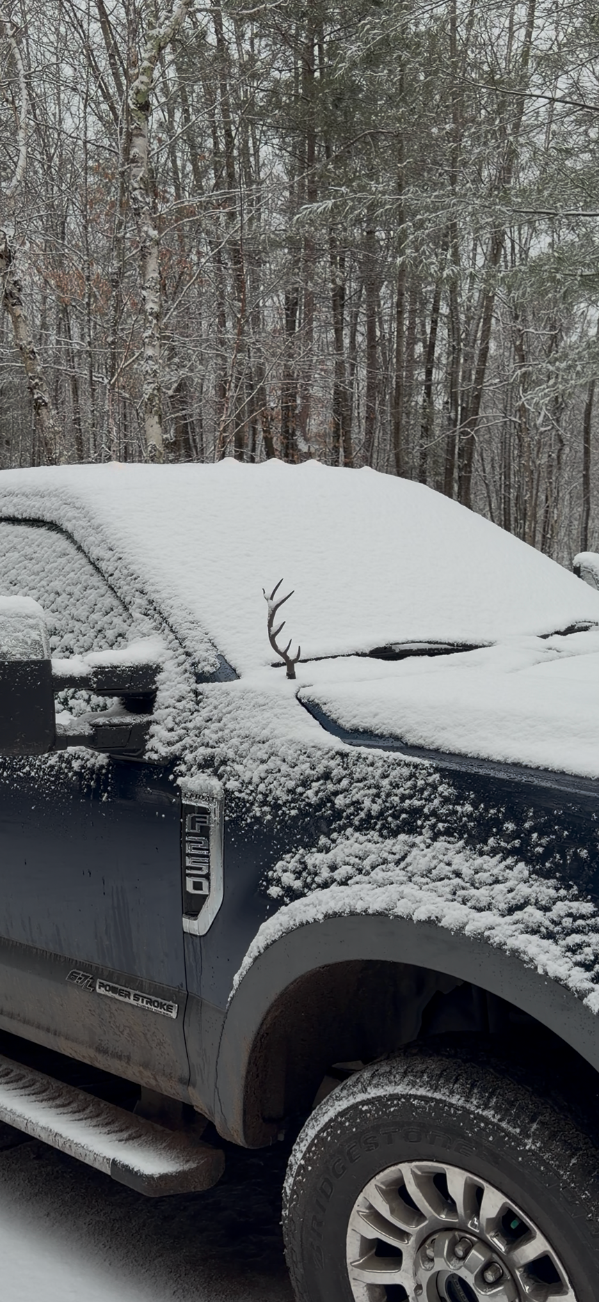 Elk Antler Antenna FORD Trucks