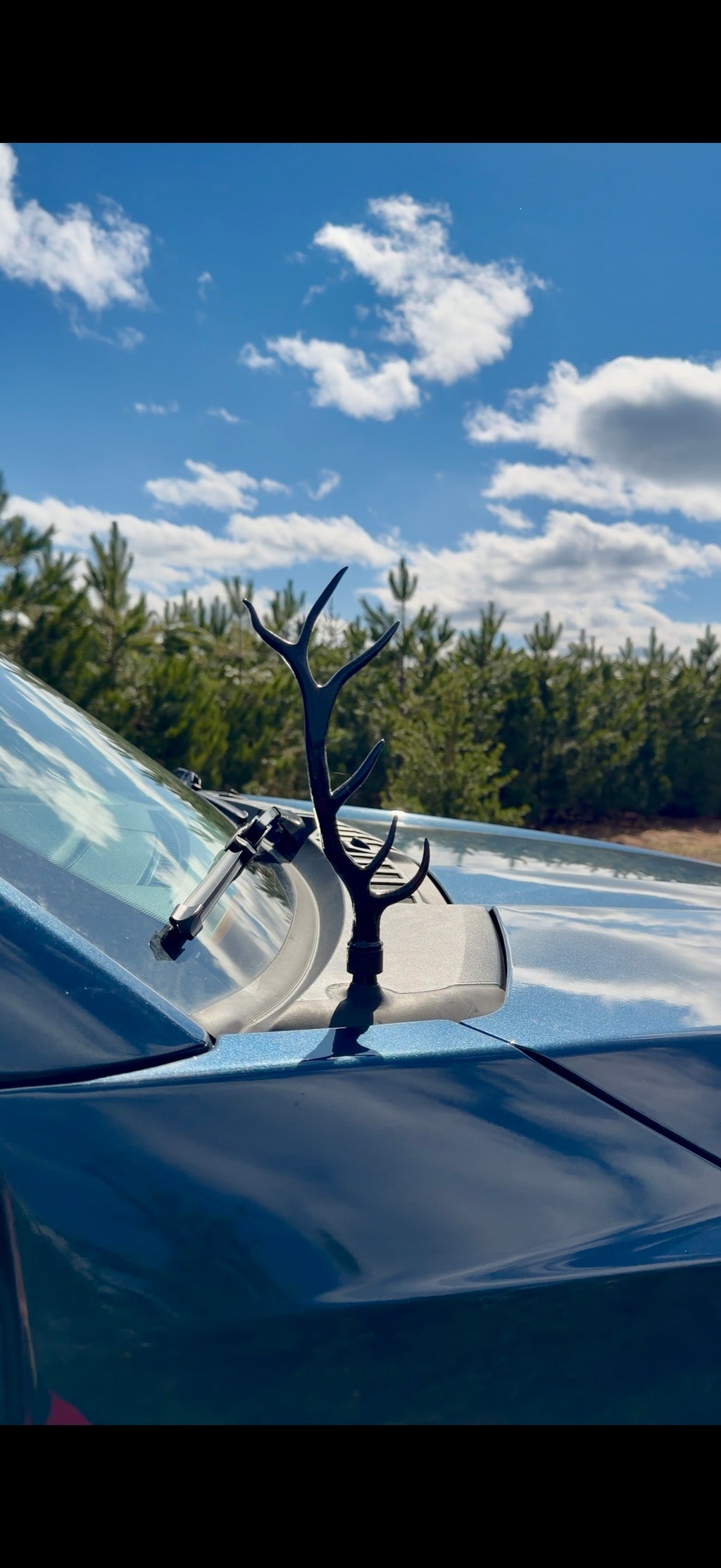 Elk Antler Antenna FORD Trucks